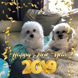 Meet your Posher, Gail